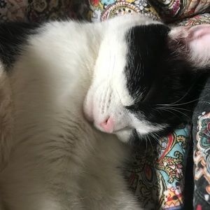 Meet your Posher, Becca